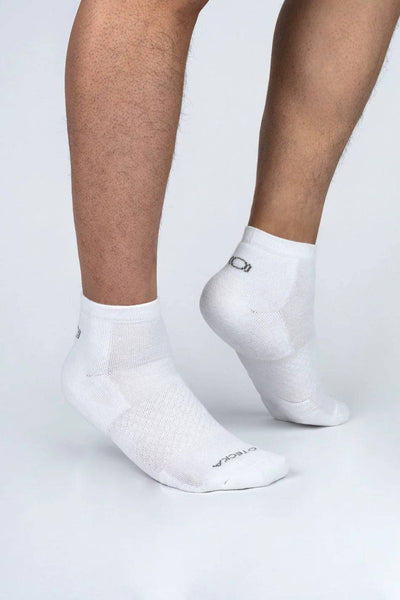 Basic Quarter Socks Pack of 3
